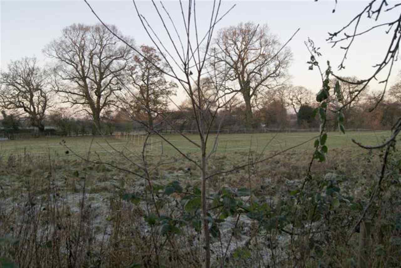 resized-2349823-219 Tuddenham 19.jpg